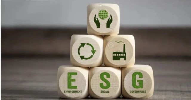 Naturegreen Exports ESG Environment Social Governance Commitment
